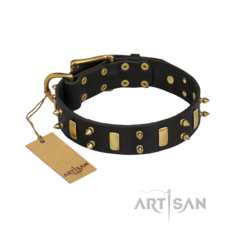 "Medieval Style" FDT Artisan Leather Pitbull Collar with Brass Plates and Spikes