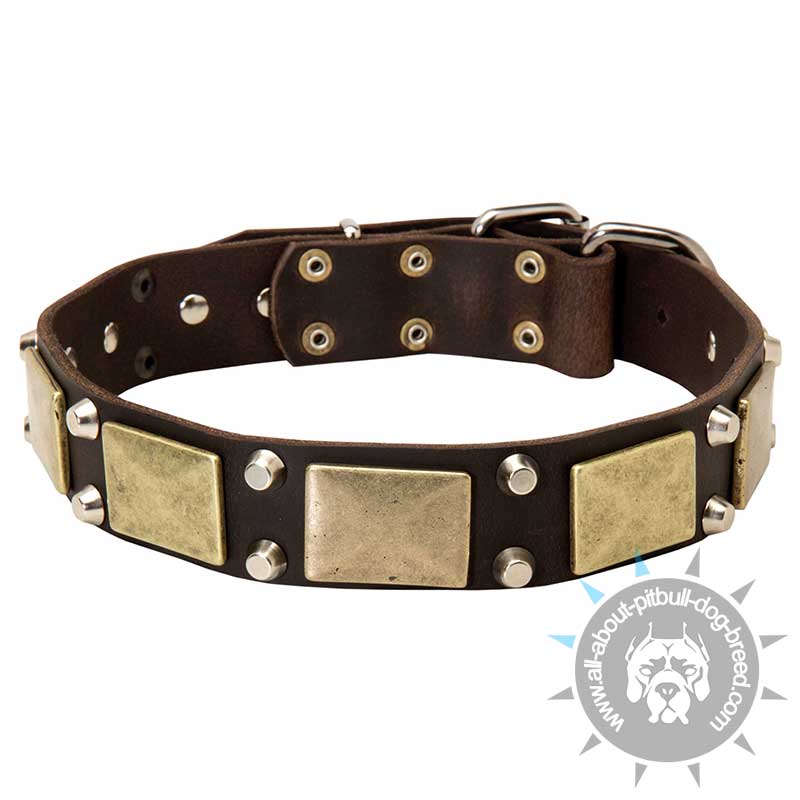 Vintage Leather Dog Collar with Brass Massive Plates + 2 Nickel Plated Pyramids - Click Image to Close