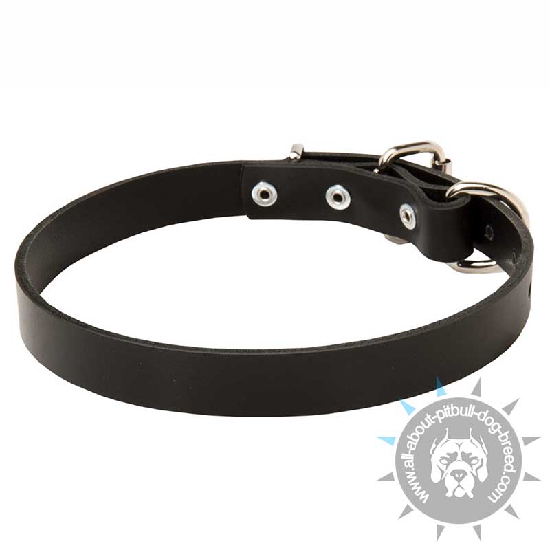 Leather Dog Collar for Pitbull BEST EVERYDAY COLLAR FOR PITBULL - Click Image to Close