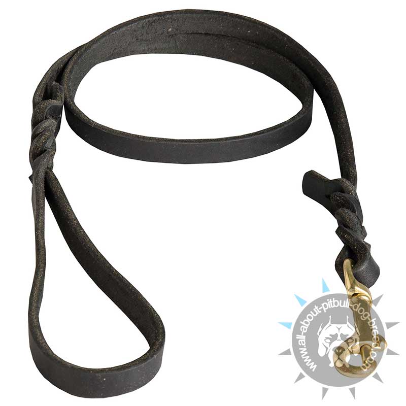 Leather Dog Leash 2 to 6 FOOT x 1/2-Inch for Pitbull Terrier