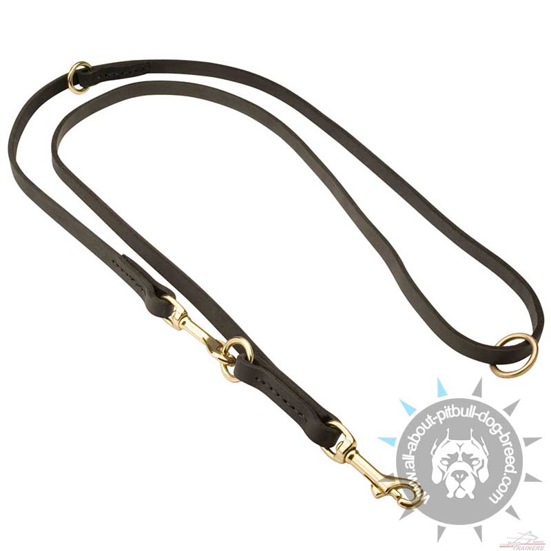 3/4 inch Leather Leash - Multifunctional Tool for Pitbull