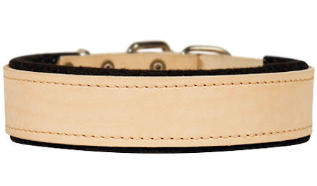 Best personalised sales dog collars
