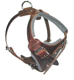 Medium dog Harness for Pitbull -Leather Harness