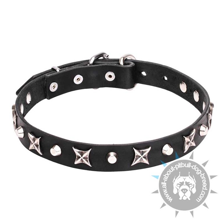 "Blazing Stars" Leather Pitbull Collar with Shiny Stars and Pyramids of Silver Color