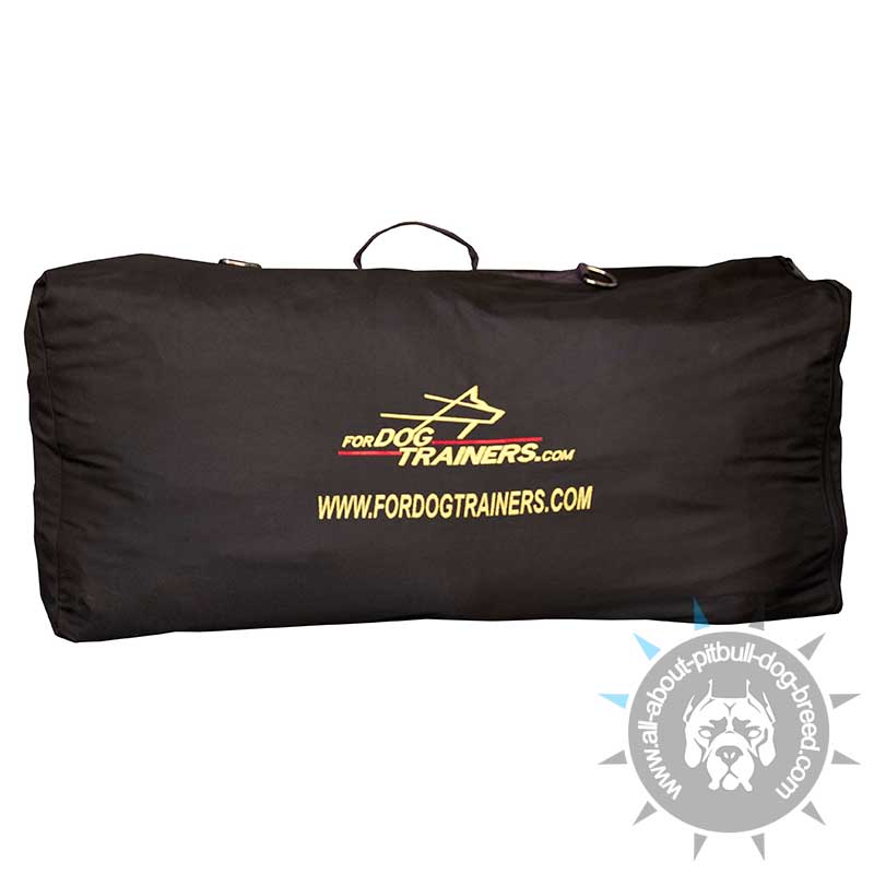 Nylon Bag-BackPack Transformer