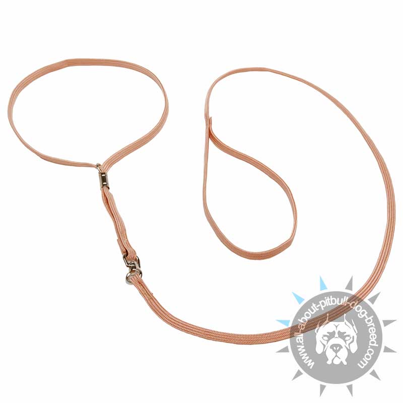 Dog Show Nylon Collar-Leash Combo 'Champion' - Click Image to Close