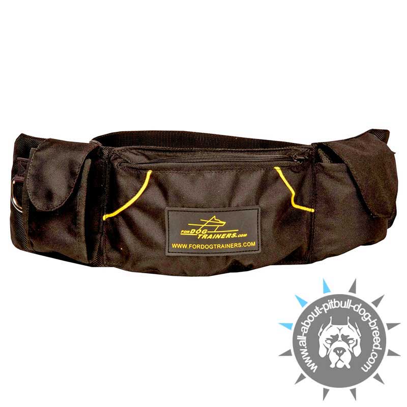 'Swift Reward' Nylon Dog Pouch for Treats and Toys