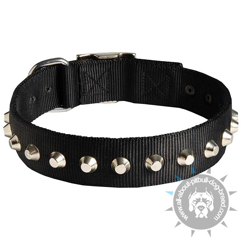 Sophisticated Nylon Collar for Pitbulls with 1 Row of Studs