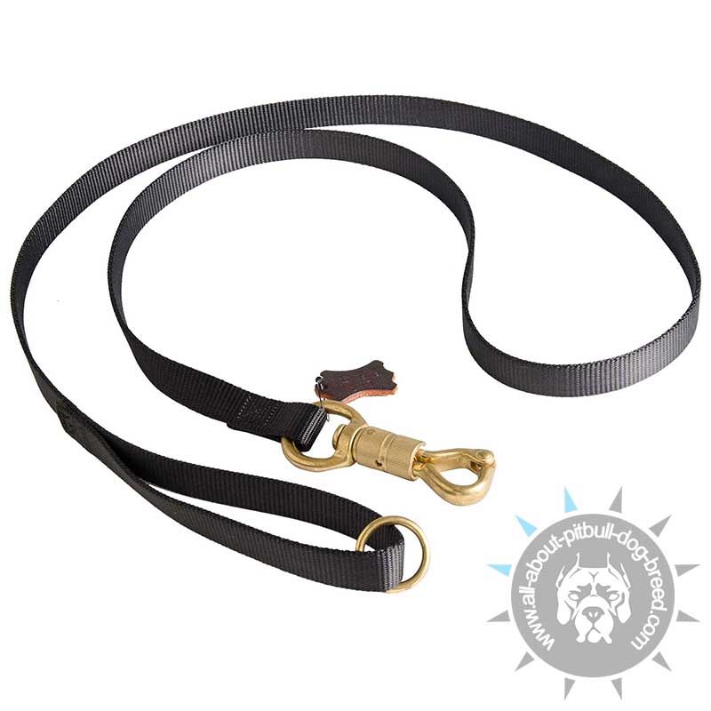 6FT Deluxe Nylon Lead with Swivel Snap Hook for Pitbull