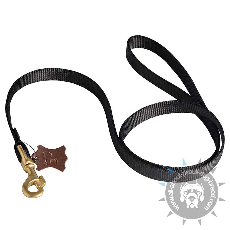 Lightweight 6ft Nylon Leash with Smart Lock