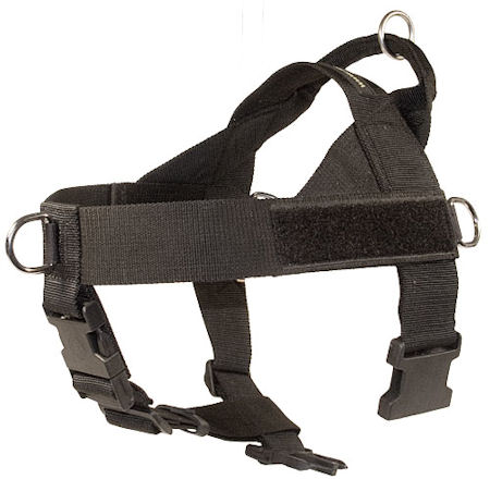 Nylon Companion Safety Harness for PITBULL