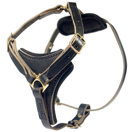 Leather Dog Harness, 2ply Leather Pitbull Harness-BEST HARNESS