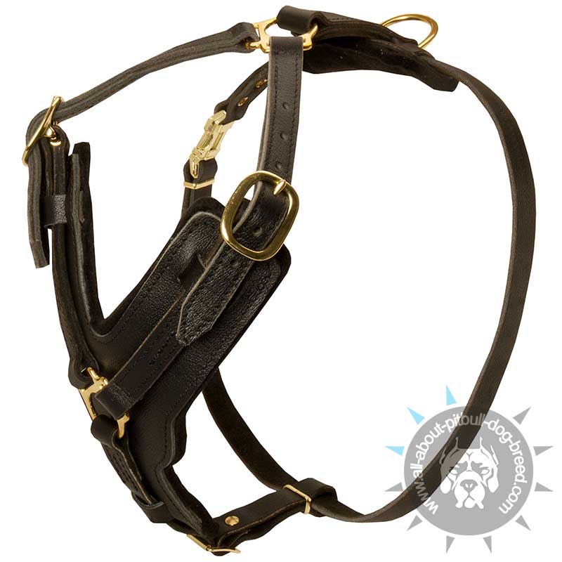 PITBULL Padded Dog Harness H10