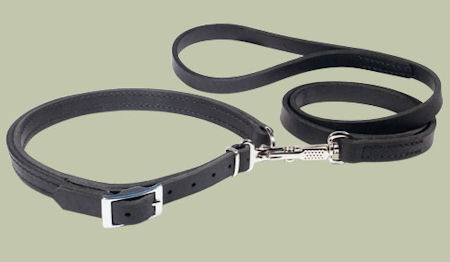 Leather Patent Dog Leash collar for Pitbull - Click Image to Close
