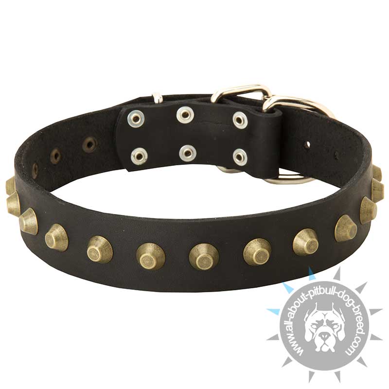 Gorgeous Wide Leather Dog Collar With Exclusive Handmade Decoration - Click Image to Close