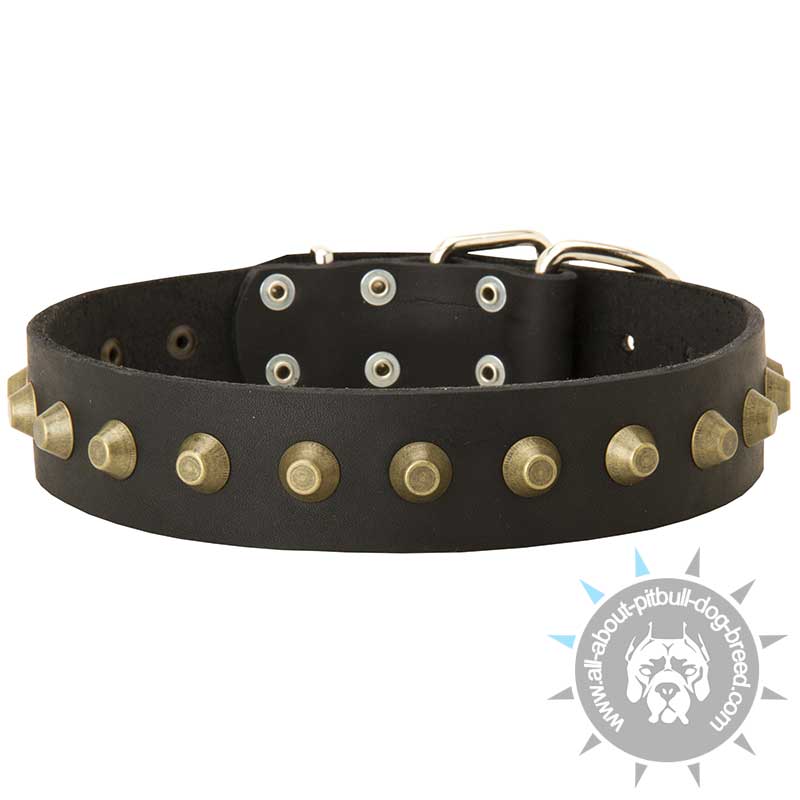 Gorgeous Wide Leather Dog Collar with Brass Studs