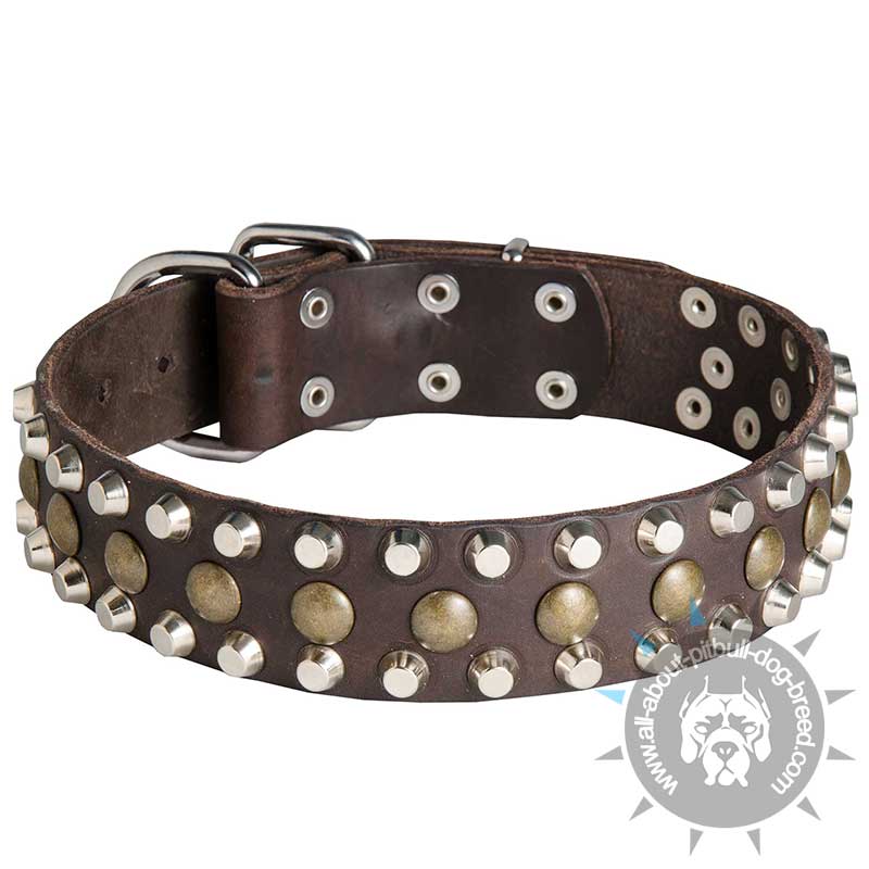 High Quality Leather Pitbull Collar with Pyramids and Studs