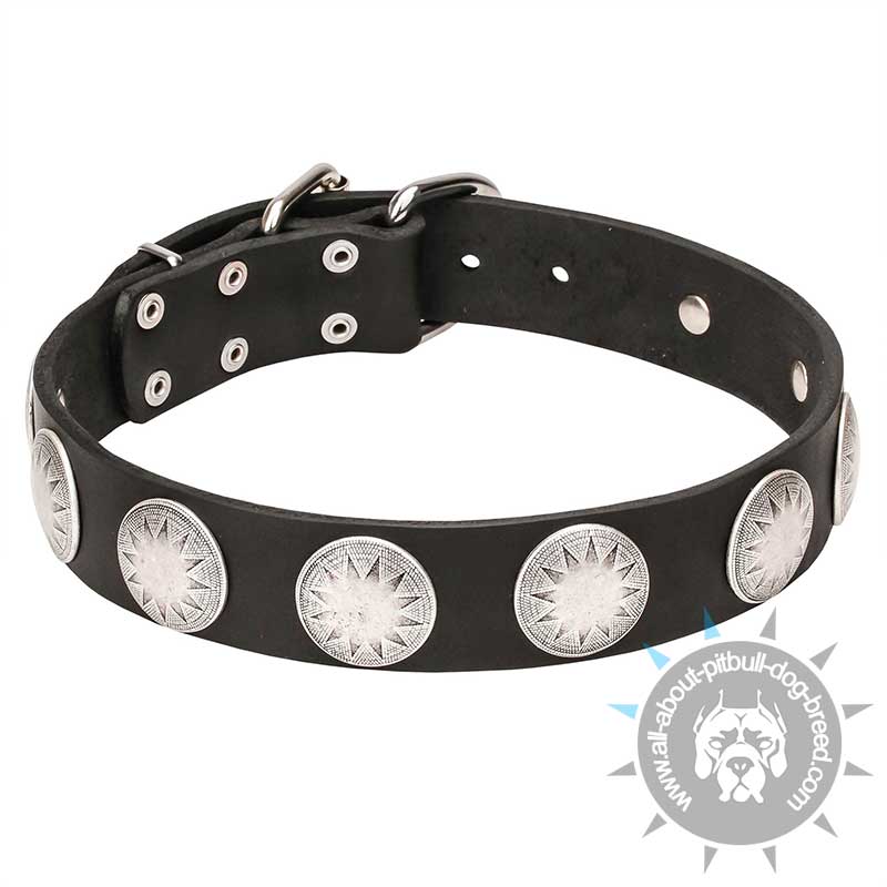 "Maya Indians" Wide Leather Collar with Chrome Plated Stamped Circles
