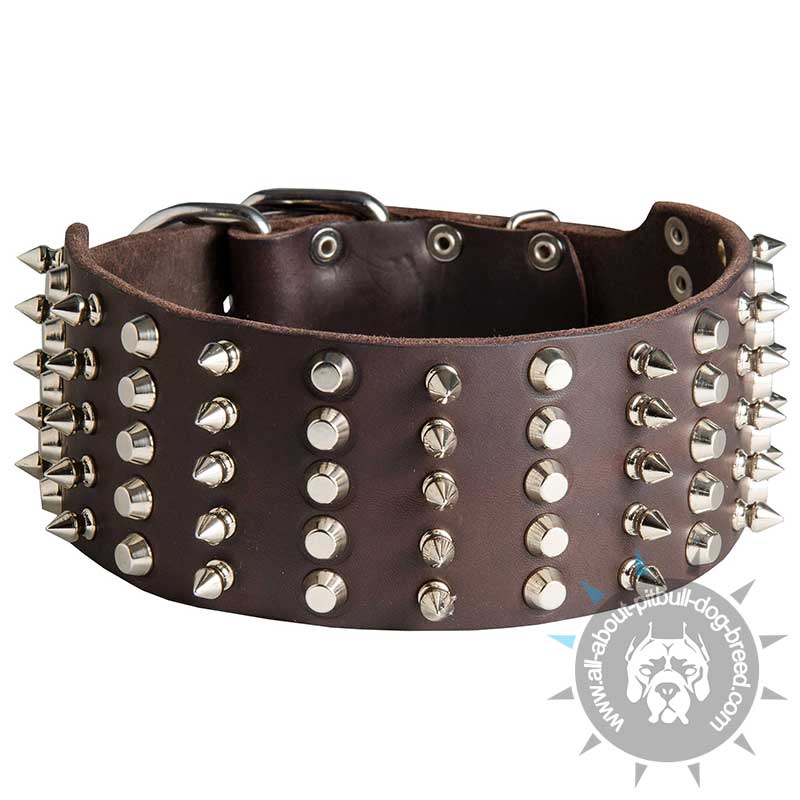 3 inch Spiked and Studded Pitbull Collar
