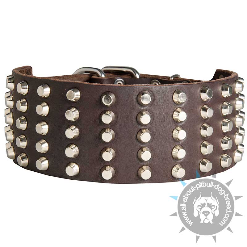 Wide Studded Leather Dog Collar for Pitbull (3 inch)