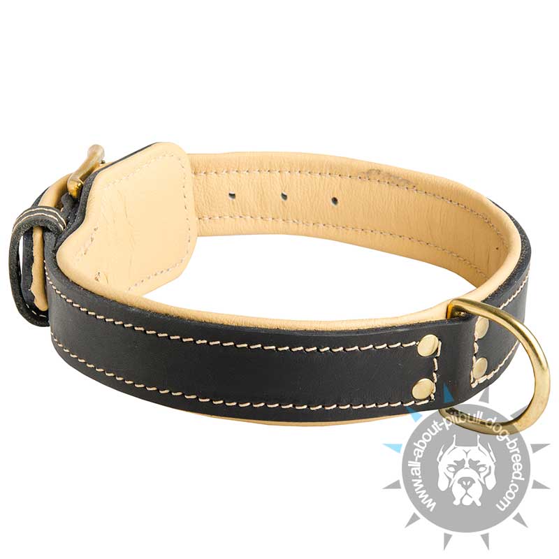 Royal Nappa Padded Hand Made Leather Dog Collar