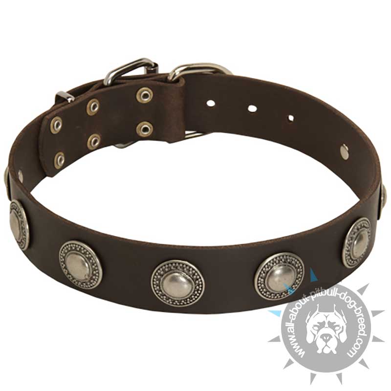Leather Dog Collar with Silver Conchos - Click Image to Close