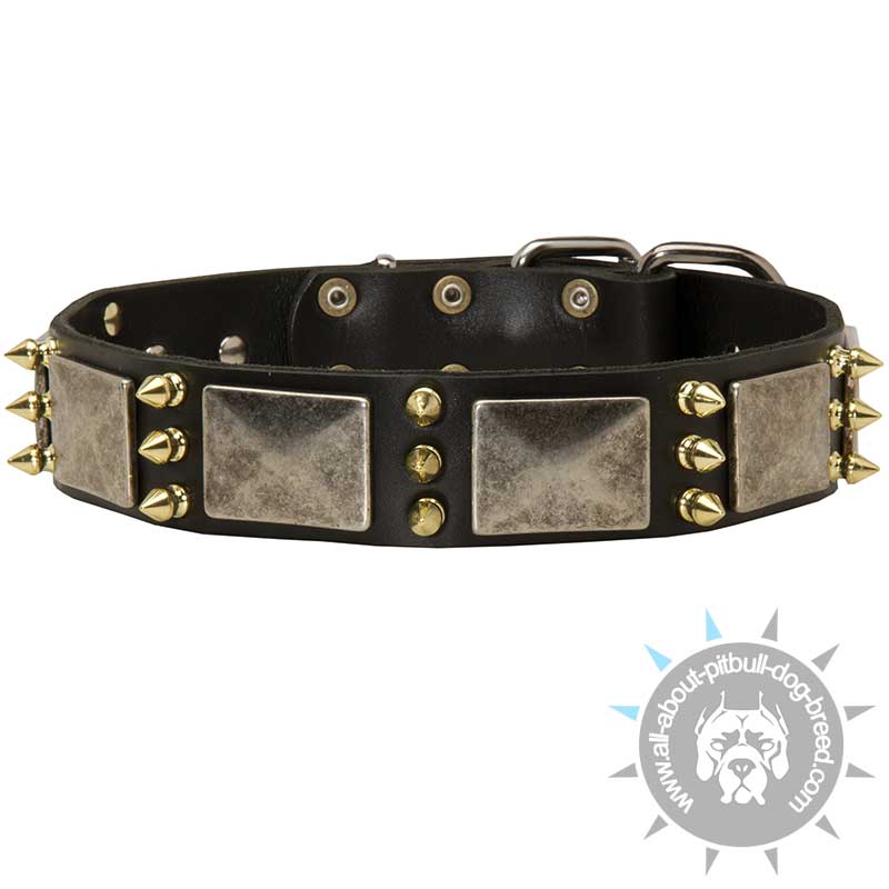 Gorgeous War Dog Leather Dog Collar with Massive Plates + Brass 3 Spikes