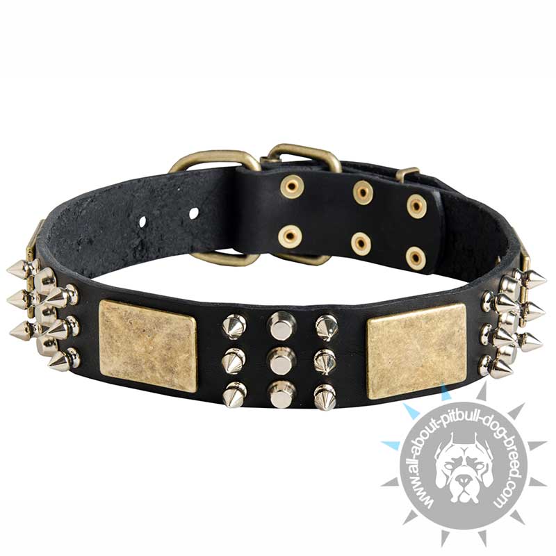 Vintage Style Leather Pitbull Collar - Click Image to Close