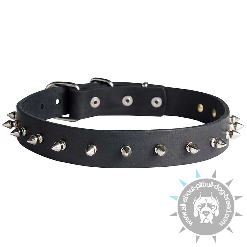 Handmade Leather Spiked Dog Collar