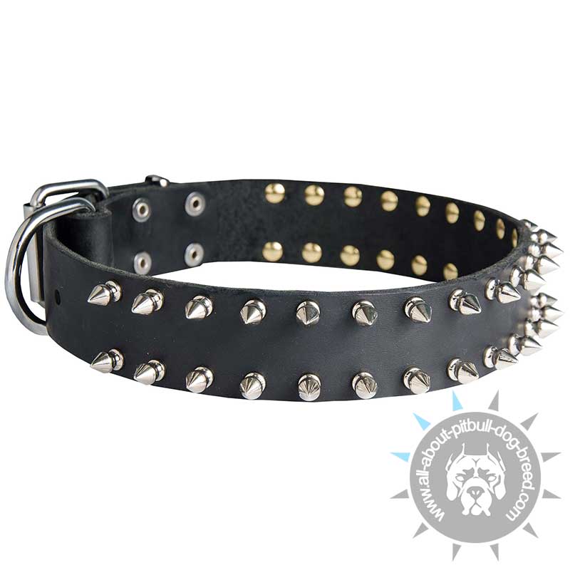 Spiked Leather Dog Collar for American Pitbull Terrier