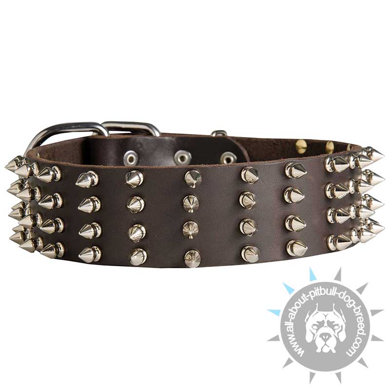 2 inch Wide Leather Spiked Dog Collar for Pitbull