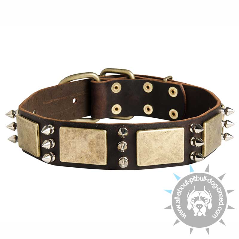 Gorgeous War Design Dog Leather Collar