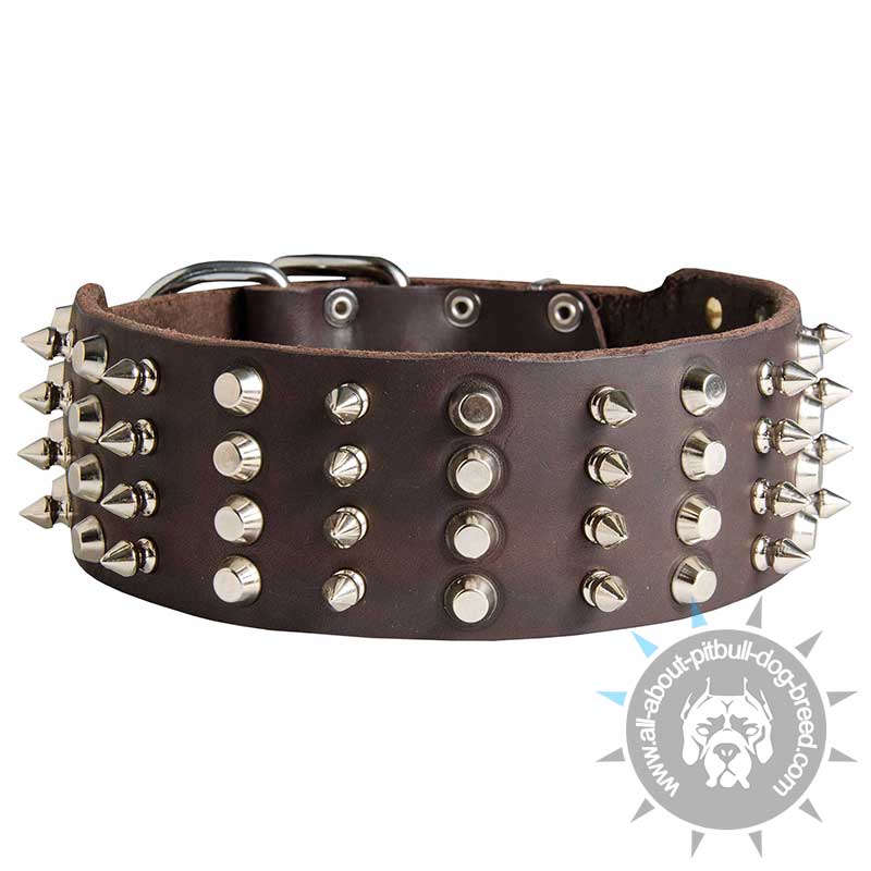 2 inch Leather Pitbull Collar with Studs and Spikes