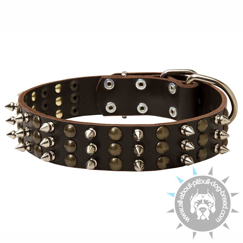 Fantastic Spiked and Studded Leather Pitbull Collar - Click Image to Close
