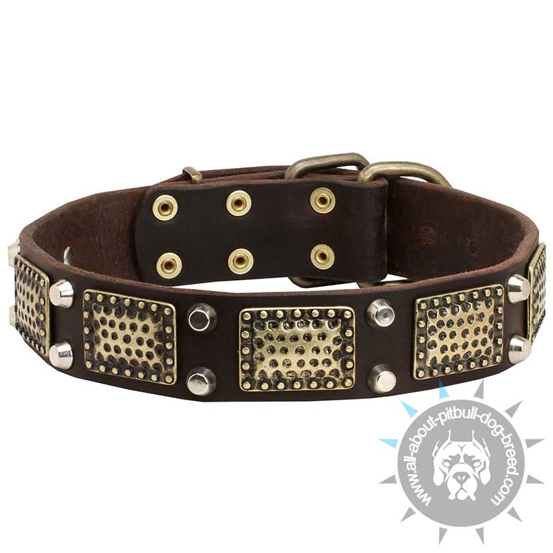Vintage Leather War Dog Collar