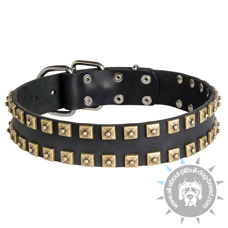 Newly-Designed Leather Pitbull Collar with Two Rows of Brass Studs