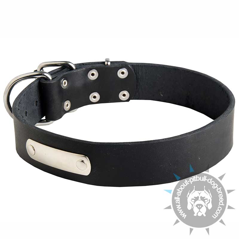 Special Leather Dog Collar with Pet Name Tag for Pitbull Breed
