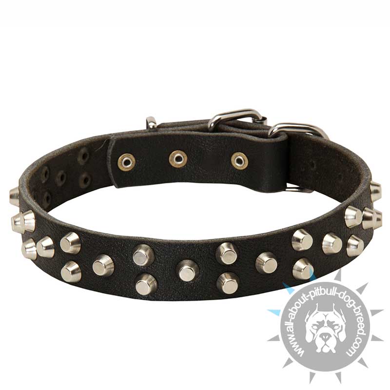 Pyramid Studded Leather Collar for Pitbull
