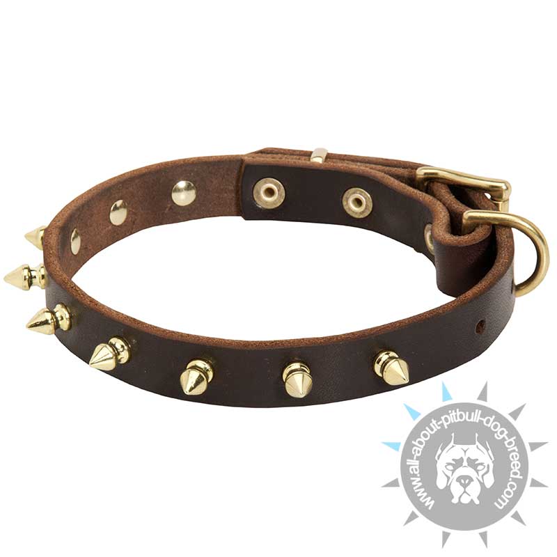 Spiked Leather Dog Collar-Luxurious Dog Collar with Handmade BRASS Spikes