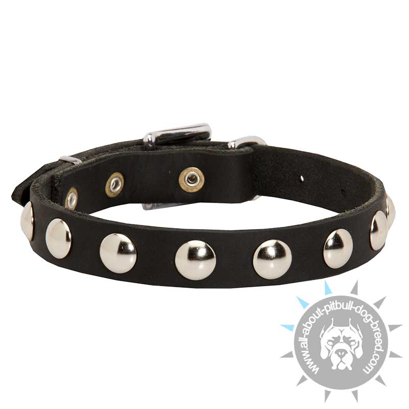 Nice Leather Dog Collar Decorated with Half Ball Studs for Walking