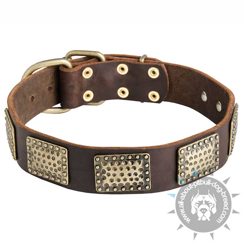 Luxury Leather Dog Collar for Pitbull