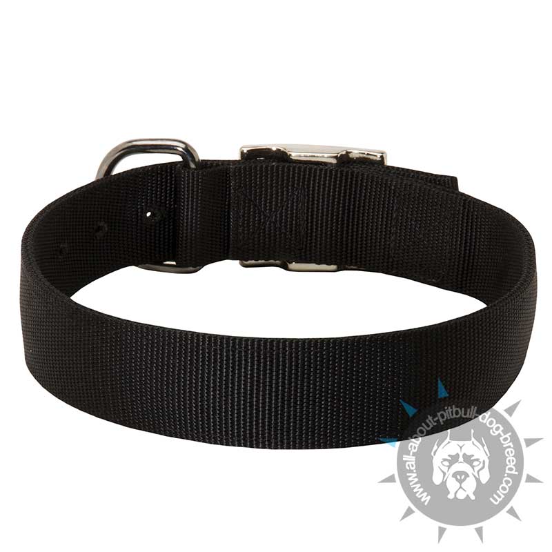 Durable Nylon Pitbul Collar -Classic Most Popular Buckle Dog Collar