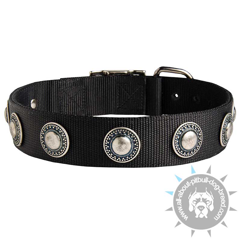 Great Nylon Dog Collar Adorned with Silver-Like Conchos - Click Image to Close