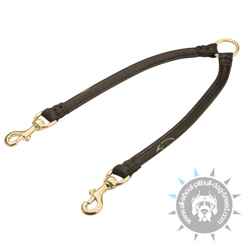 Round Leather Pitbull Coupler Leash for Walking 2 Dogs