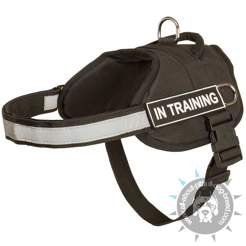 Reflective Nylon Dog Harness with Handle