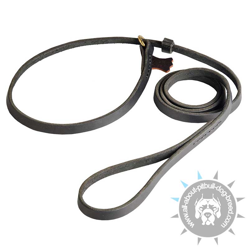 Leather Slip Lead 6 FT on 1/2'' for Pitbull