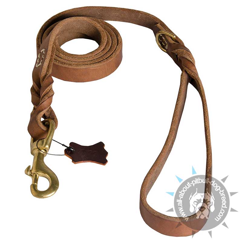 Braided Leather Lead Improved Design for Pit Bull Terrier