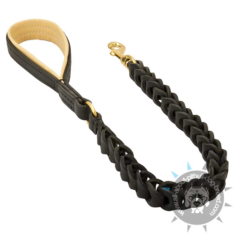 Exquisite Leather Dog Leash for Pitbulls - Braided Canine Accessory