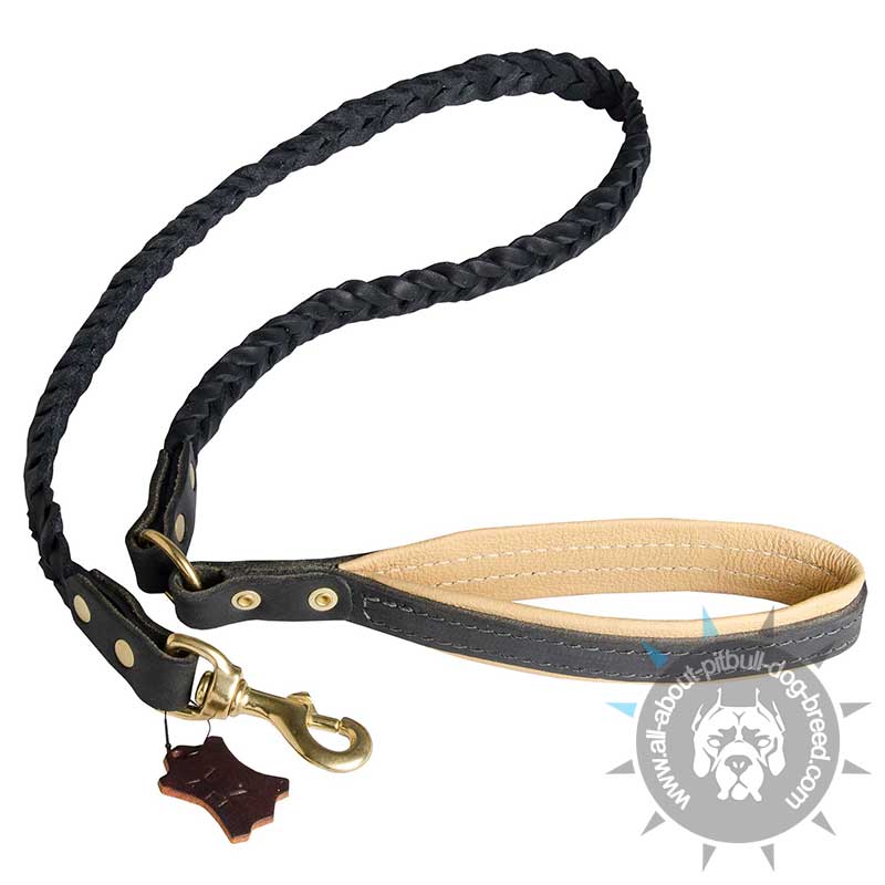 4 Foot Braided Leash with Padded Handle