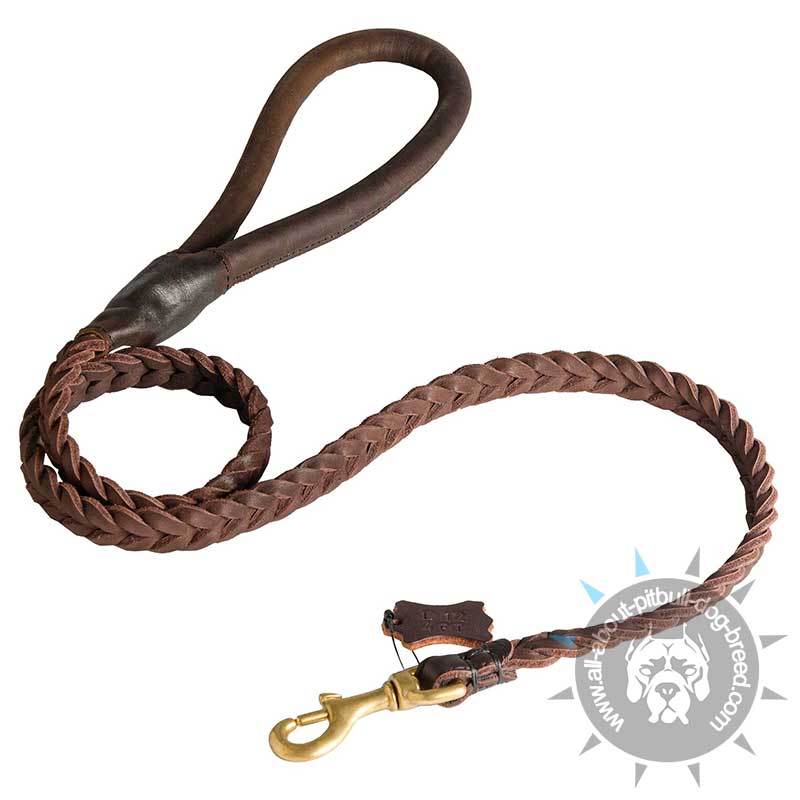Deluxe Full-Braided Leather Pitbull Leash - Click Image to Close